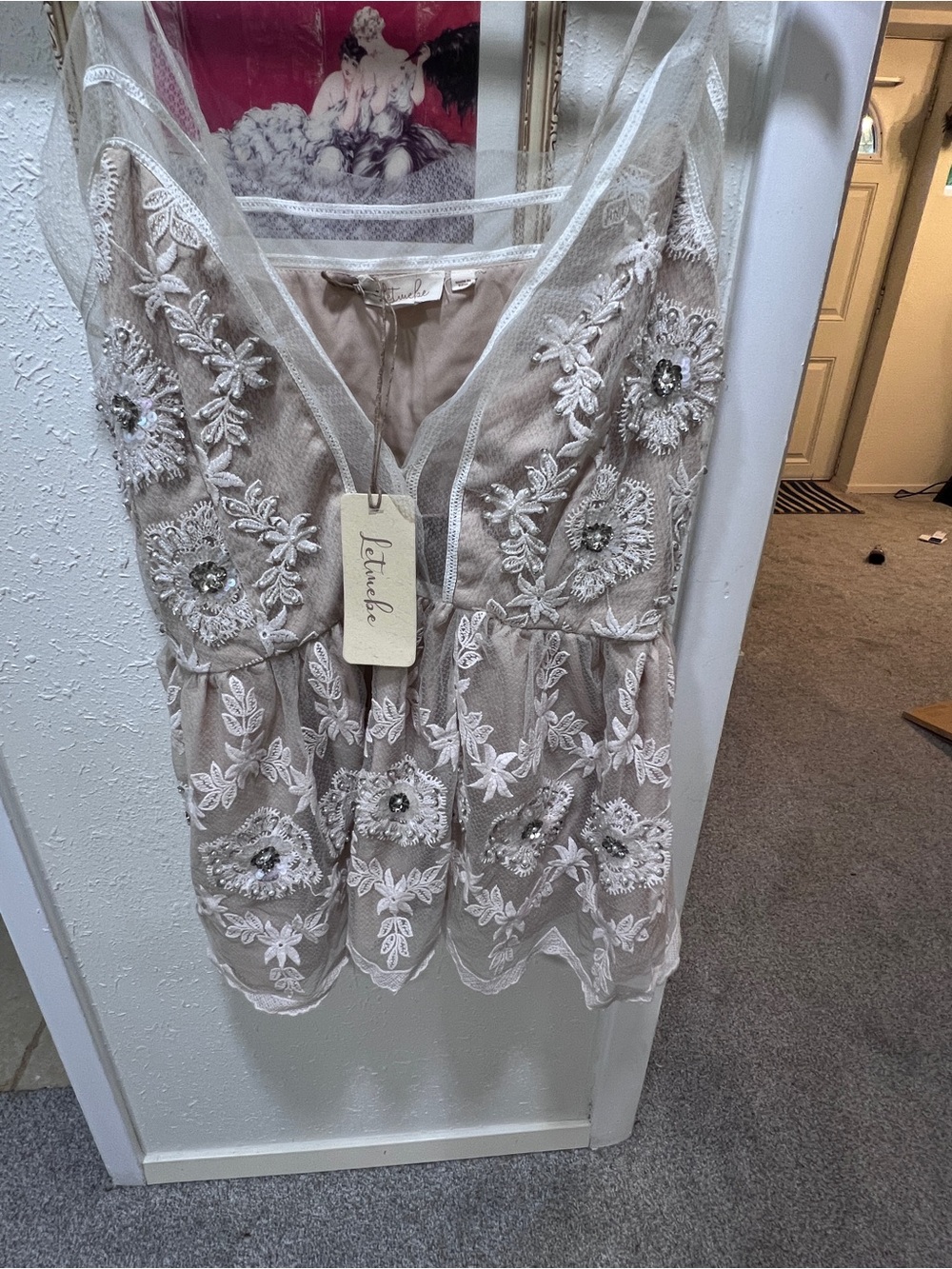 Anthropologie Endless Rose Embroidered Lace Peplum Camisole in Blush